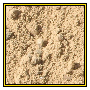 Rubber Tracks For Sand Application